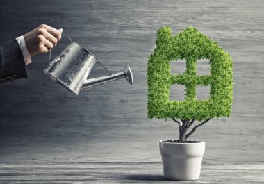 El gibi ev şeklinde tencerede yeşil bitki sulama kadının