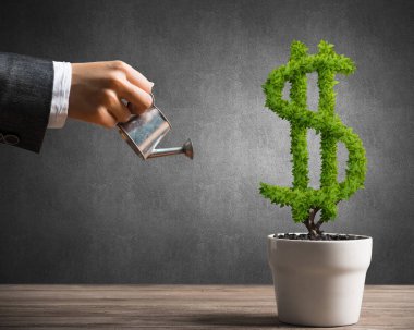 Beyaz kap içinde büyüyen yeşil Doları ağaç sulama kadının el