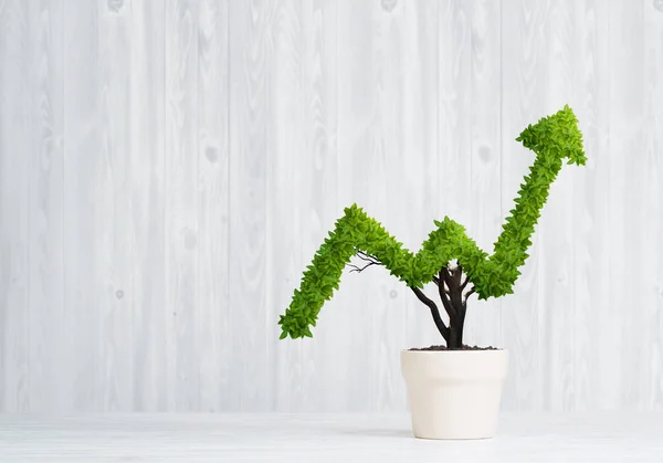 Pequeña Planta Maceta Forma Gráfico Crecimiento —  Fotos de Stock