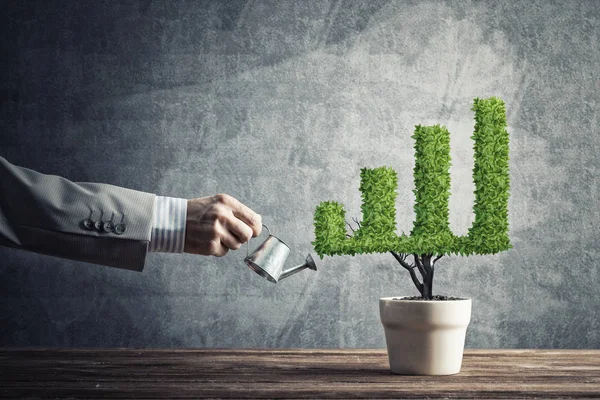 Mano Del Hombre Regando Una Pequeña Planta Maceta Forma Gráfico —  Fotos de Stock