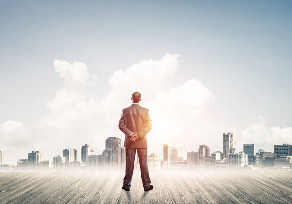 Businessman standing with back and looking at business cityscape
