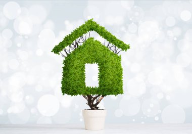 Yeşil bitki tencerede gibi ev şeklinde