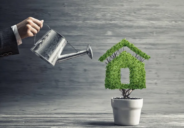 Hand Woman Watering Green Plant Pot Shaped House — Stock Photo, Image