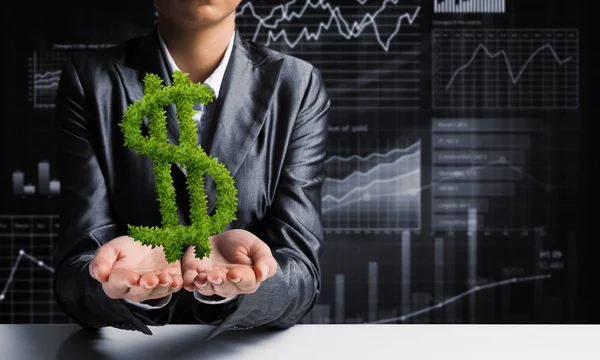 Cropped image of businessman in black suit presenting green plant in form of dollar symbol in hands with business sketches on background.