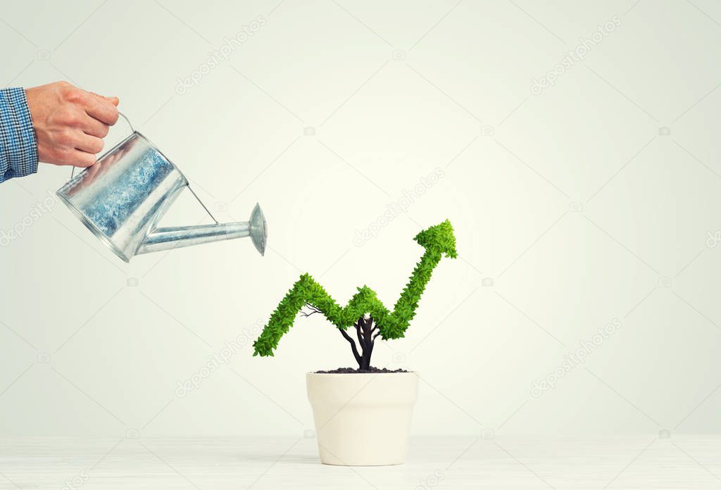 Hand of man watering small plant in pot shaped like growing graph