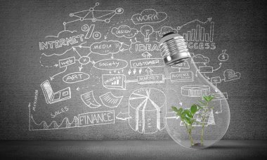 Kabataslak iş planı bilgileri gri duvara karşı ampul içinde yeşil bitki ile yerleştirilir. 3D render.