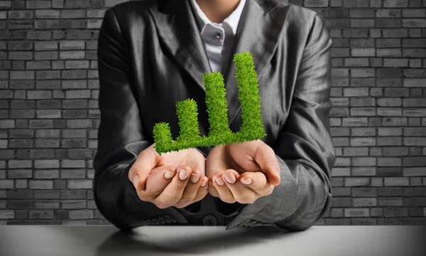 Podnikatel Vyhovovat Prezentující Zelených Rostlin Podobě Rostoucí Graf Rukou Šedou — Stock fotografie