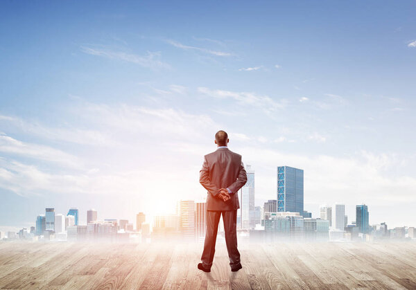 Businessman standing with back and looking at business cityscape