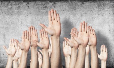 Oy verme jestini gösteren bir sıra adam eli. Katılım ve anlaşma işaretleri grubu. İnsan elleri gri duvarın arka planında siler. Birçok kol birlikte kaldırdı ve mevcut popüler jest.