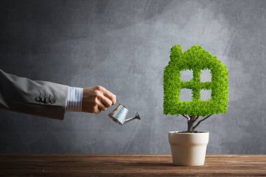 Esrar içinde bitki olan ekolojik geri dönüşüm ve ekolojik yapı kavramı