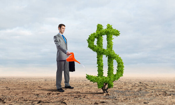Предприниматель поливает зеленое растение в форме знака доллара в пустыне. Рост и развитие бизнеса. Дружественная экосистема для банковского бизнеса и инвестиций. Концепция богатства и успеха
.