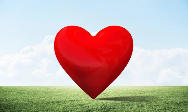 Yeşil alanda büyük kırmızı kalp — Stok fotoğraf
