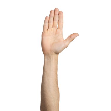 Yetişkin adam el açık palmiye jest gösteren