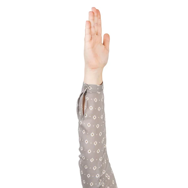 Mulher mão em blusa cinza mostrando palma — Fotografia de Stock