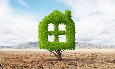 Ev şeklinde yeşil bitki çölde yetişir