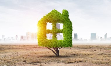 Ev şeklinde yeşil bitki çölde yetişir