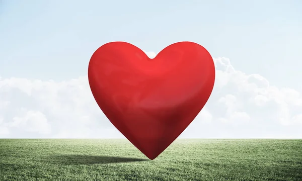 Yeşil alanda büyük kırmızı kalp — Stok fotoğraf