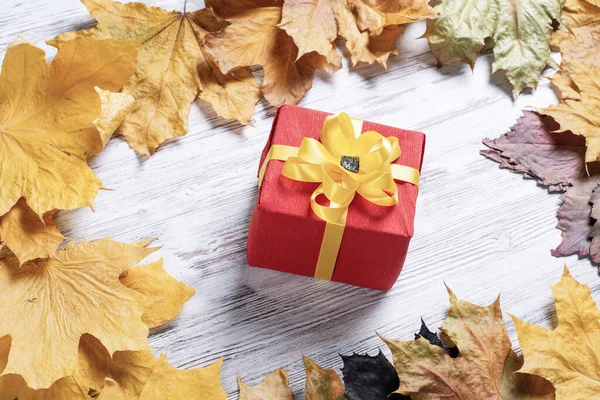 Helle Herbstkomposition mit Geschenkbox — Stockfoto