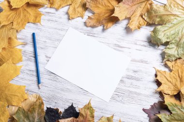 Masanın üzerinde beyaz kağıt ve kalem var.