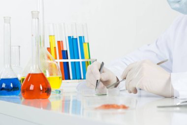 Petri kabında cımbızla araştırma yapıyorum.