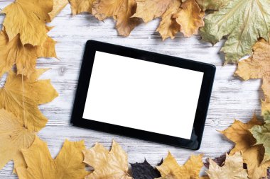 Boş ekranlı tablet bilgisayar, parlak yapraklı eski ahşap masanın üzerinde yatıyor. Beyaz ahşap yüzeyde sonbahar yapraklarıyla düz bir bileşim vardı. İnternet iletişimi ve dijital teknoloji