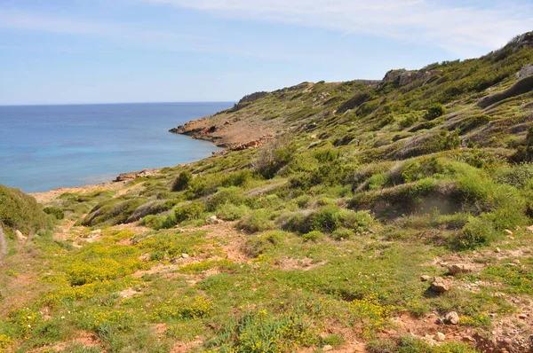 Landsacpe Costeiro Verde Ilha Baleares Espanhola Menroca — Fotografia de Stock