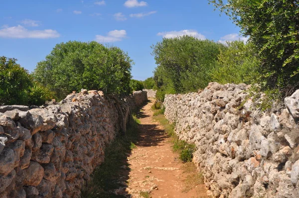 Narrow Dirt Road Typical Stone Walls Spanish Balearic Island Menorca — Stock Photo, Image