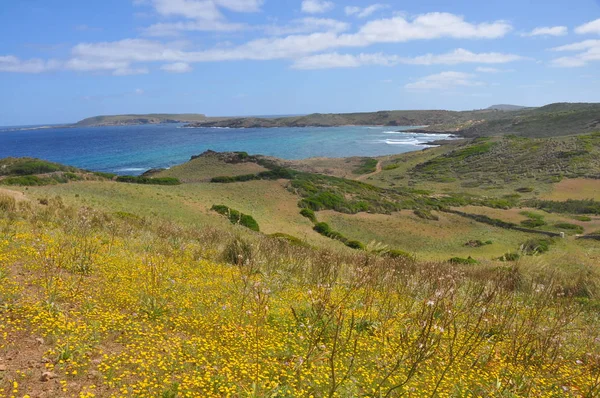 Panoramiczny Widok Zielony Krajobraz Przybrzeżny Hiszpańskiej Wyspie Menorca Hiszpania — Zdjęcie stockowe