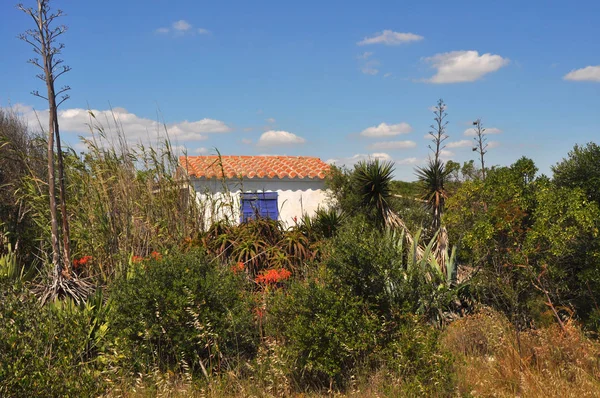 Kleines verstecktes haus auf spanischer Insel Menorca