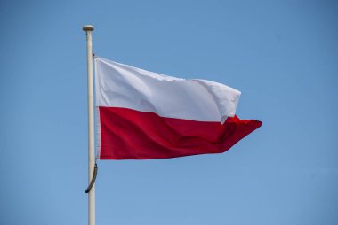 Rüzgarda sallayarak Polonya bayrak