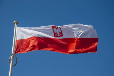 Rüzgarda sallayarak Polonya bayrak