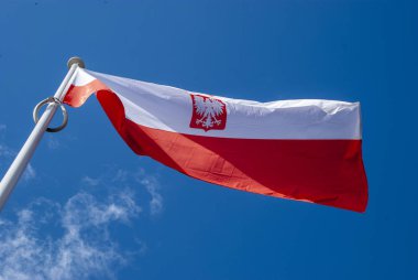 Rüzgarda sallayarak Polonya bayrak