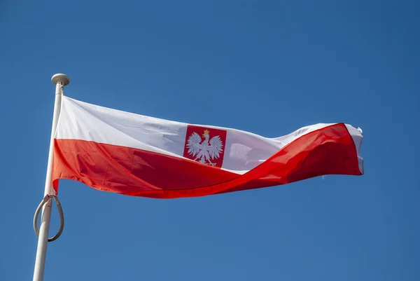 Flag Poland Waving Wind — Stock Photo, Image