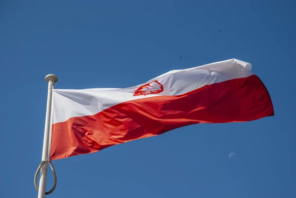 Integetett Szél Lengyel Zászló — Stock Fotó