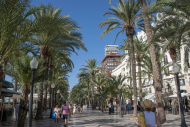 İnsanlar Alicante plajı boyunca palmiye ağaçlarıyla yürüyorlar, Costa Blanca