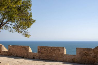 Alicante Kalesi 'nin deniz manzaralı gözlem noktasında bir çam ağacının parçası.