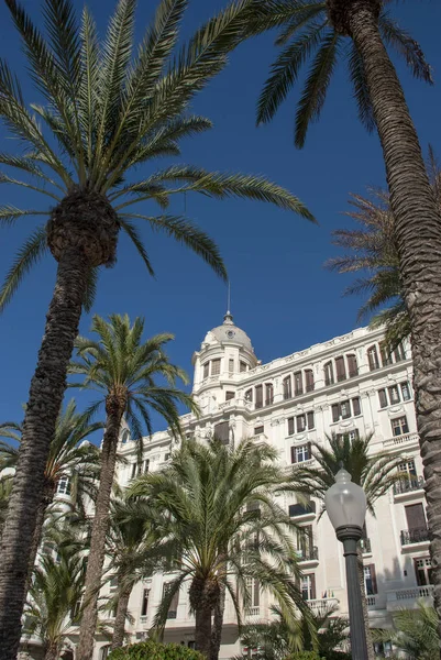 Alicante Costa Blanca Güzel Bir Evi Çevreleyen Palmiye Ağaçları — Stok fotoğraf