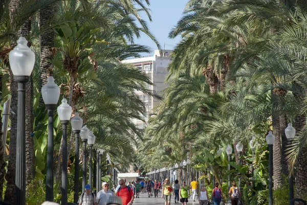 People Walking Beach Promenade Alicante Rows Palm Trees Costa Blanca — Stock Photo, Image