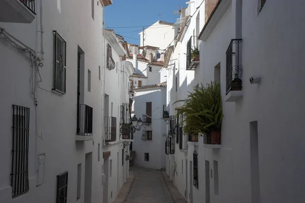 Λευκά Σπίτια Φυτά Στενή Λωρίδα Στο Ισπανικό Χωριό Altea Στην — Φωτογραφία Αρχείου