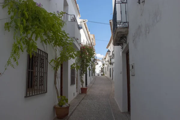 Casas Blancas Con Plantas Estrecha Calzada Pueblo Español Altea Costa — Foto de Stock