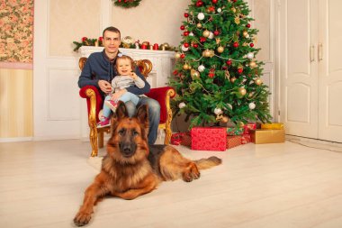sevgi dolu bir baba ve tatlı kızı bir sandalyeye, ayakları büyük bir çoban köpeği oturmak, Noel için dekore edilmiş oda zevk