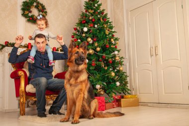 sevgi dolu bir baba ve tatlı kızı bir sandalyeye, ayakları büyük bir çoban köpeği oturmak, Noel için dekore edilmiş oda zevk