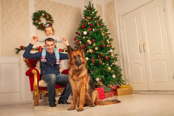 sevgi dolu bir baba ve tatlı kızı bir sandalyeye, ayakları büyük bir çoban köpeği oturmak, Noel için dekore edilmiş oda zevk