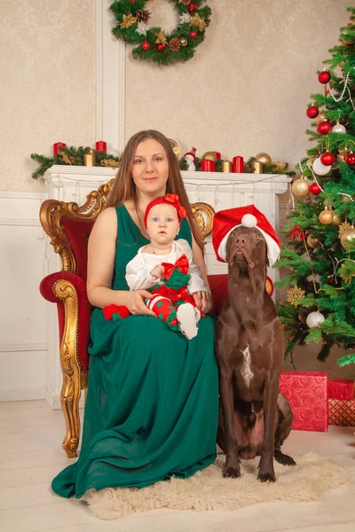 Dulce Mamá Bebé Bebé Hija Están Sentados Una Silla Lado — Foto de Stock