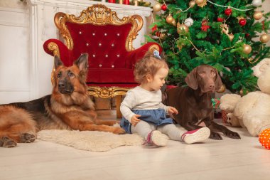 Noel oda onun büyük köpekler ile küçük şirin kız