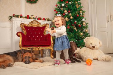 Noel oda onun büyük köpekler ile küçük şirin kız