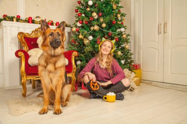 güzel genç kız sıcak bir kazak ve hatmi yanındaki bir çoban köpeği ile kakao bir fincan ile Noel ağacı arka plan üzerinde katta oturan Kedi kulakları ile sarı kulaklık