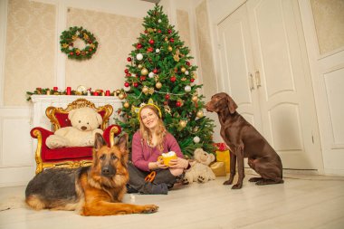 güzel genç kız sıcak bir kazak ve bir çoban ve Doberman köpek yanında hatmi ile kakao bir fincan ile Noel ağacı arka plan üzerinde oturan Kedi kulakları ile sarı kulaklık
