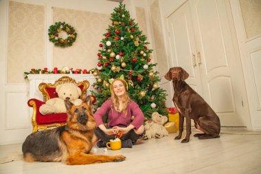 güzel genç kız sıcak bir kazak ve bir çoban ve Doberman köpek yanında hatmi ile kakao bir fincan ile Noel ağacı arka plan üzerinde oturan Kedi kulakları ile sarı kulaklık