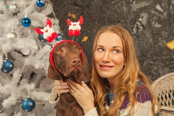 Aranyos Lány Pulóver Ölelést Barna Kutyájával Karácsonyfa Fehér Fekete Fal — Stock Fotó